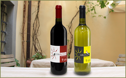 vino-01